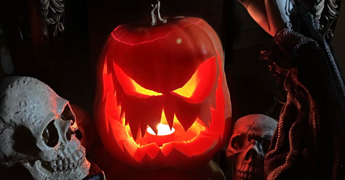 5 Best Thriller Webtoons to Get Excited About