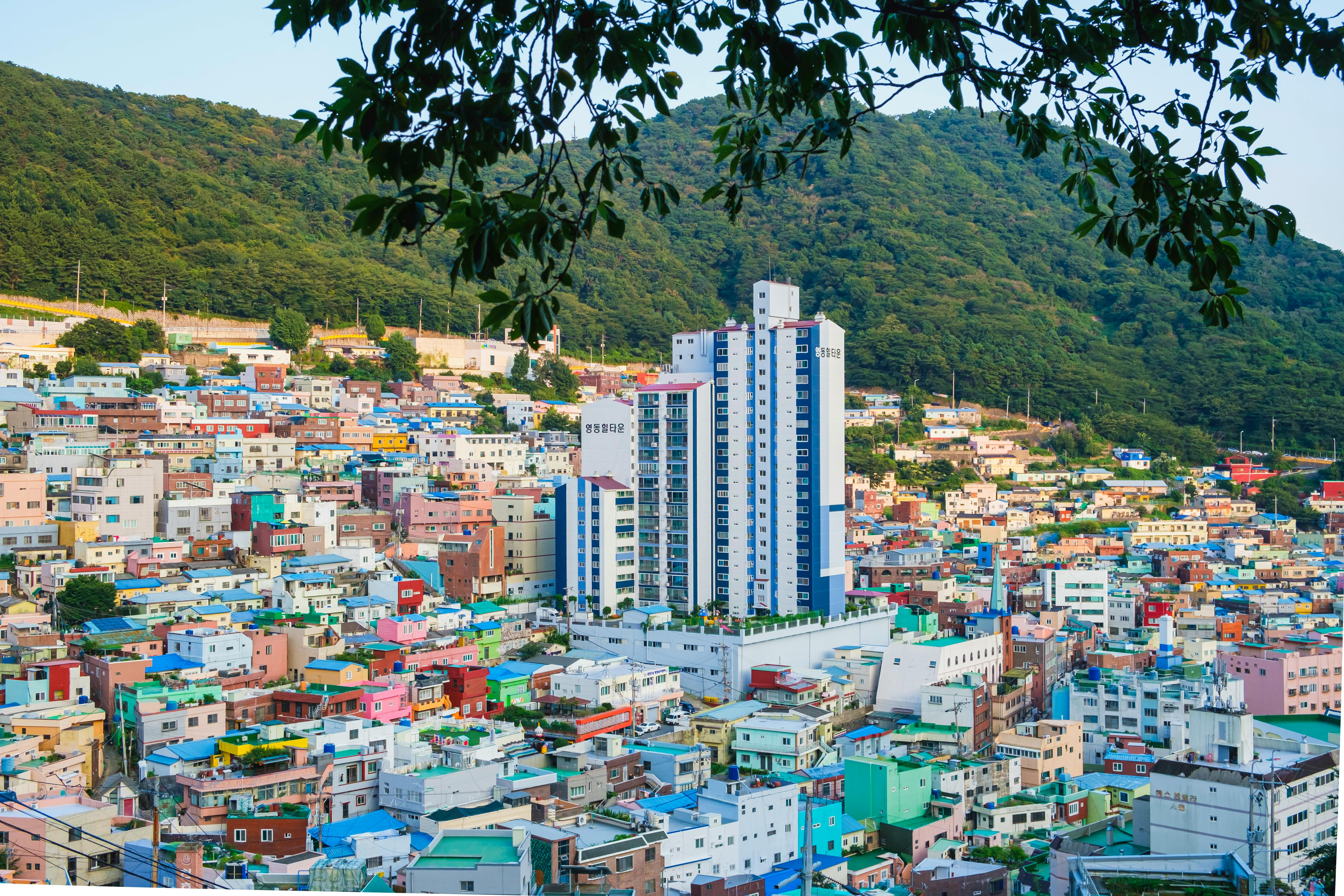 Seoul’s Shared Living Experiments Reflect Korea’s Solo-Household Shift